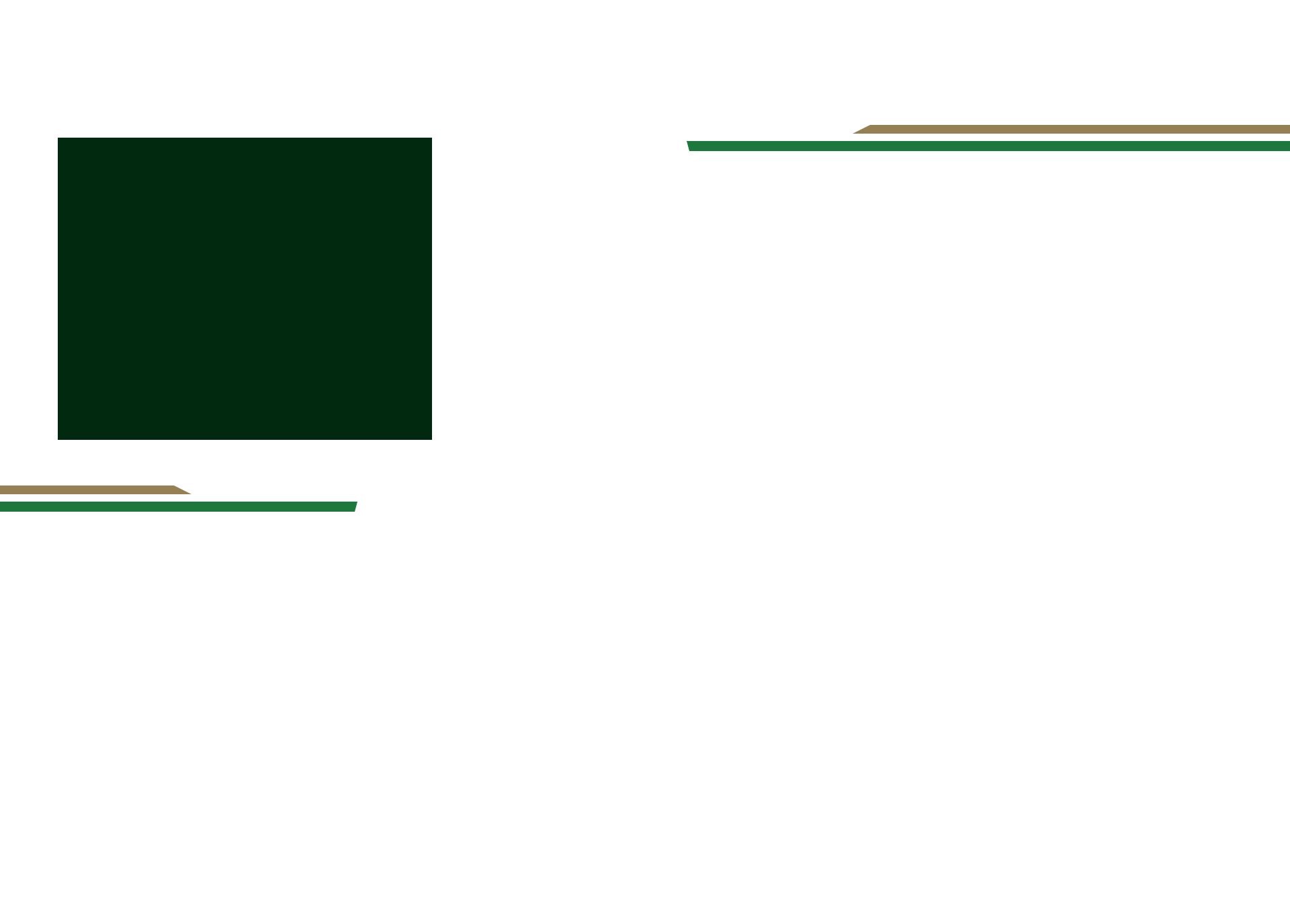 service-details-bg
