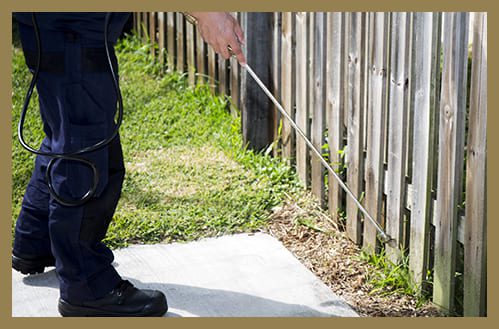 Our Thorough Pest Control Process