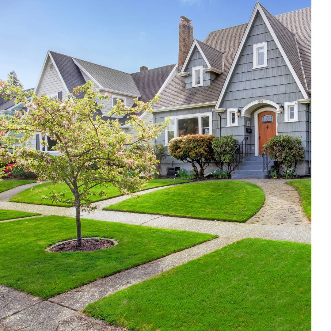 Tree and Shrub Care 101_ How to Keep Your Yard Lush and Healthy All Year
