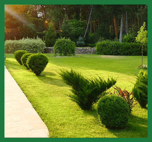 garden image