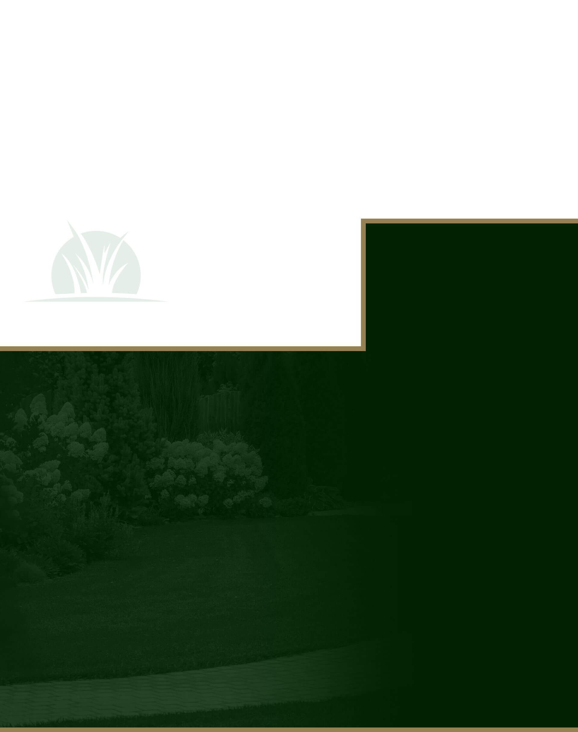 review background image