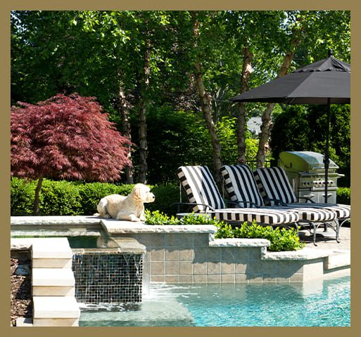 sweeming pool garden